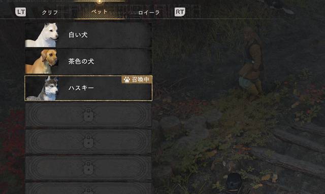 ハスキー犬をペットにしました