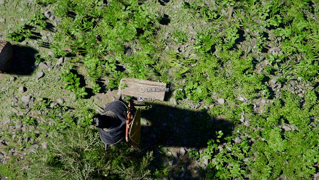 最高級木材をゲット