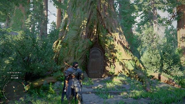 長枝の陰の隠れ家