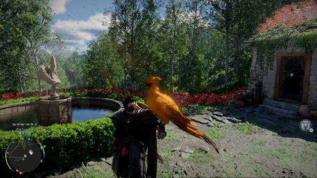 フェニックスがペットになる