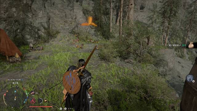 フェニックスにアイテムを回収してもらう