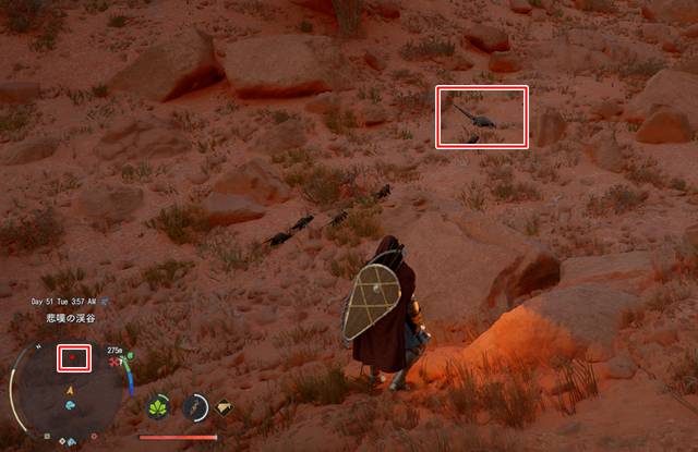 ハンターオオトカゲを発見