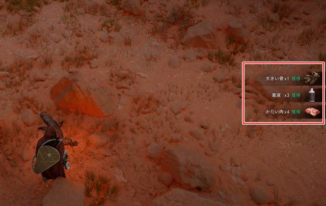 ハンターオオトカゲを解体する