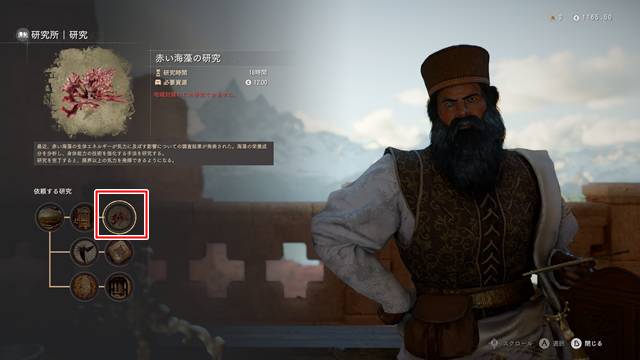 赤い海藻の研究