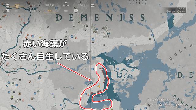 赤い海藻が自生している場所