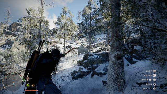 シロクマ（霜爪のシロクマ）を発見