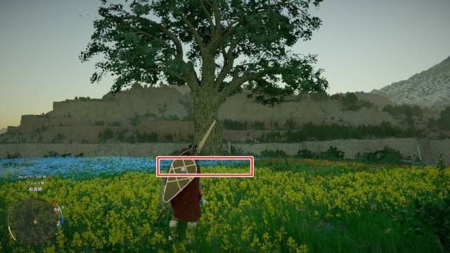 掌波の葉が入手できる場所