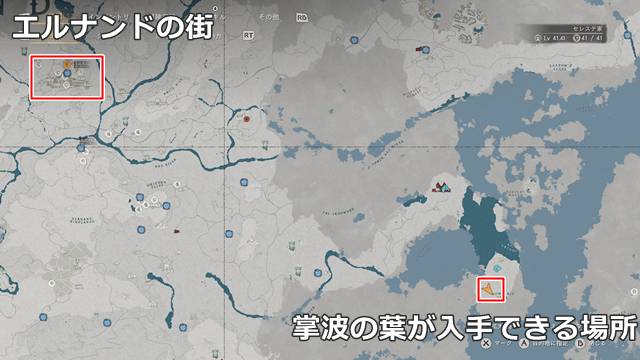 掌波の葉が入手できる場所(マップ)