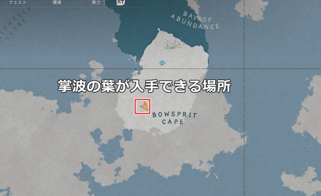 掌波の葉が入手できる詳細な場所(マップ)