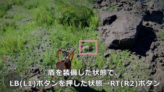 カニにシールドバッシュ