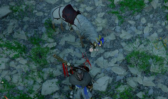 馬の目の前に餌を置く