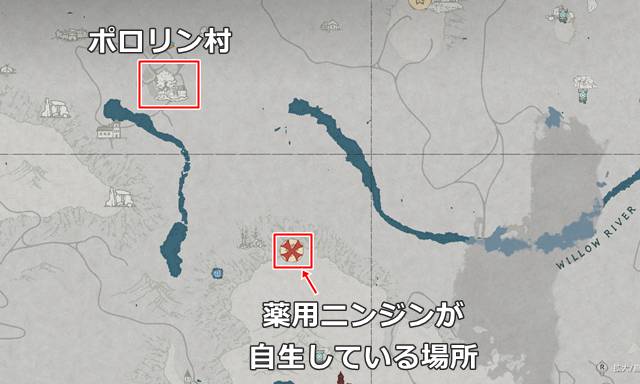 薬用人参の場所(マップ)