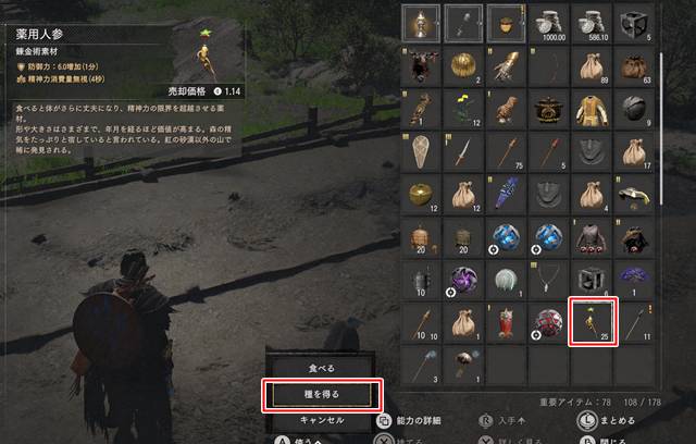 薬用人参の種を入手する