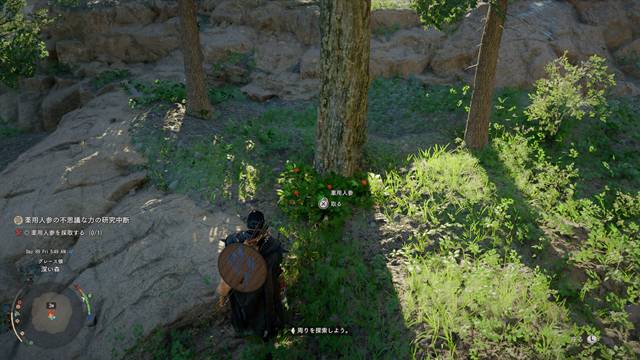 薬用人参の場所