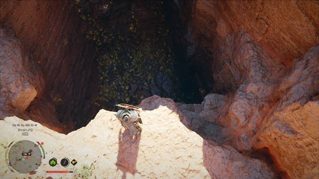 砂漠の湖の金鉱