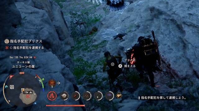 ブリクスを捕まえる