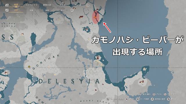 カモノハシ・ビーバーが出現する場所(マップ)