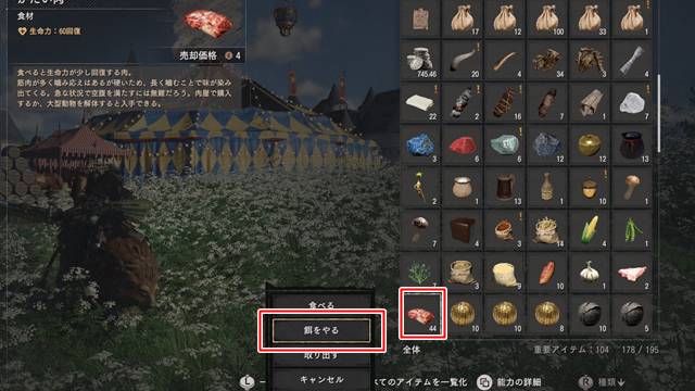 ライオンに肉を与える