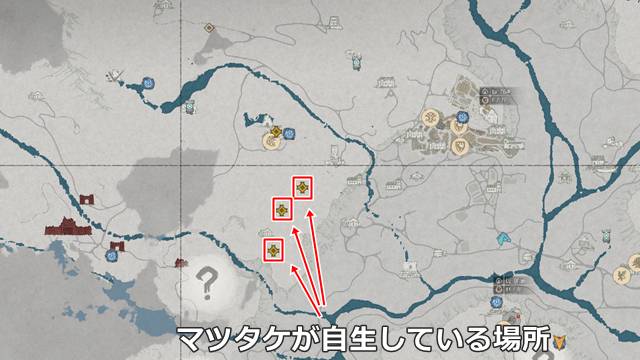 マツタケが自生している場所