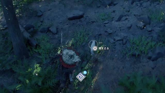 白い動物が飛び出してくる